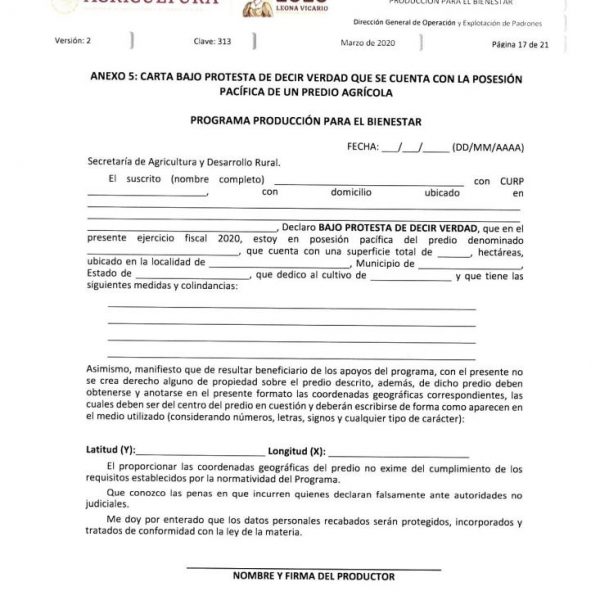 Modelo de carta de posesión del predio