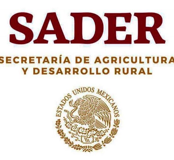 sader PRODUCCION BIENESTAR 2020